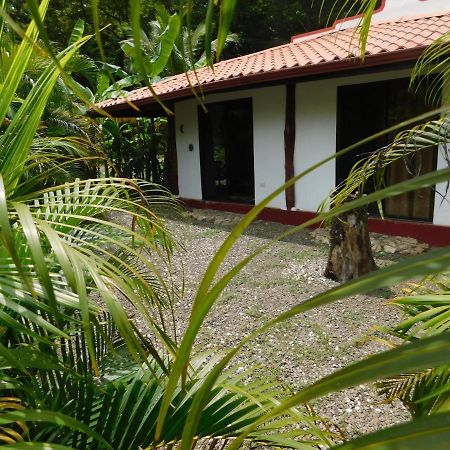Villas Jungle 5 Samara Exterior photo