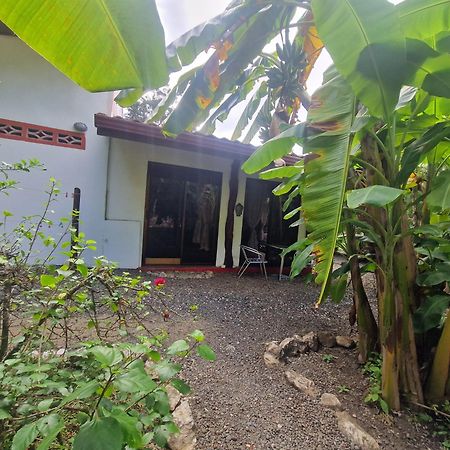 Villas Jungle 5 Samara Exterior photo