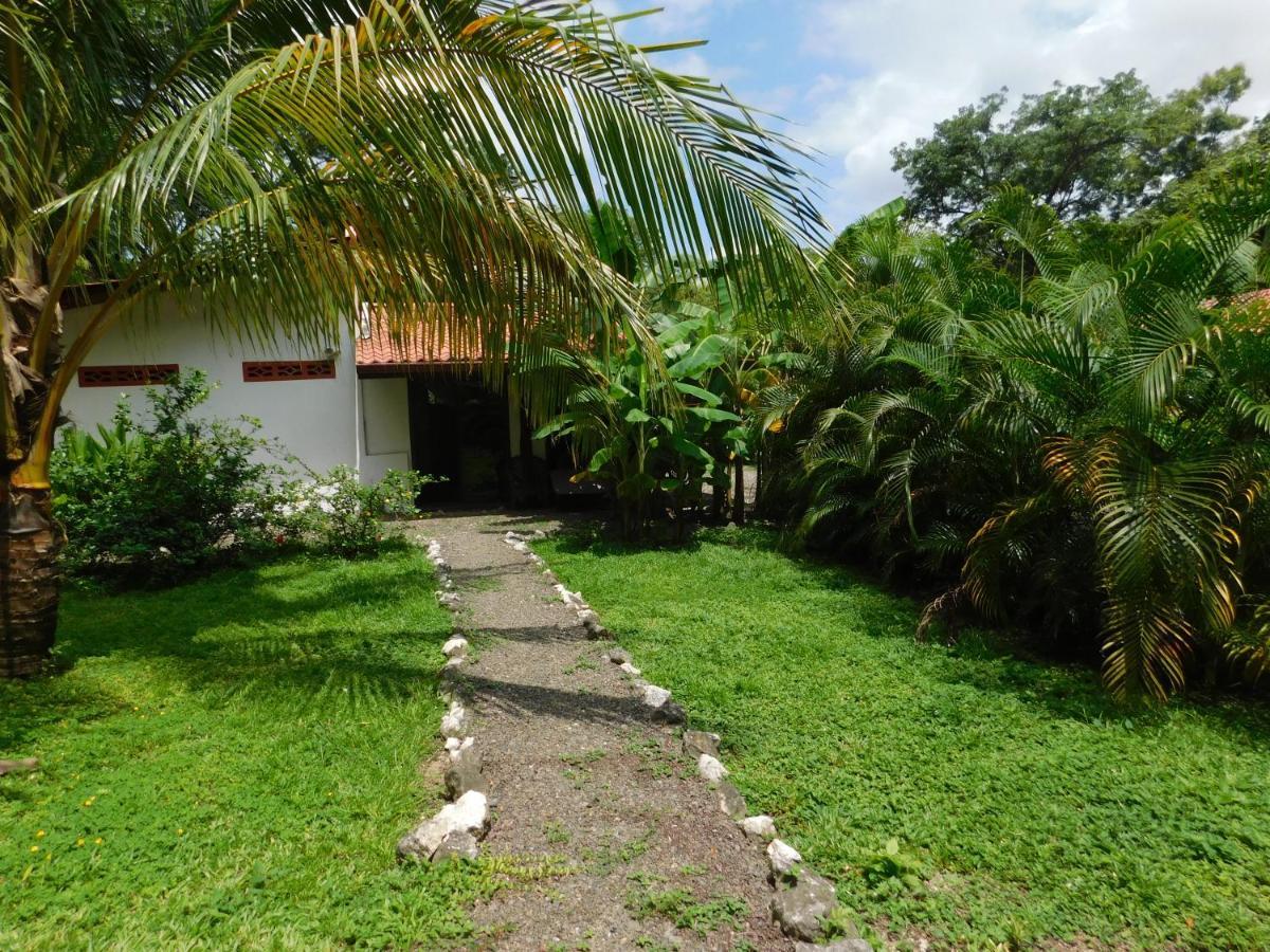 Villas Jungle 5 Samara Exterior photo