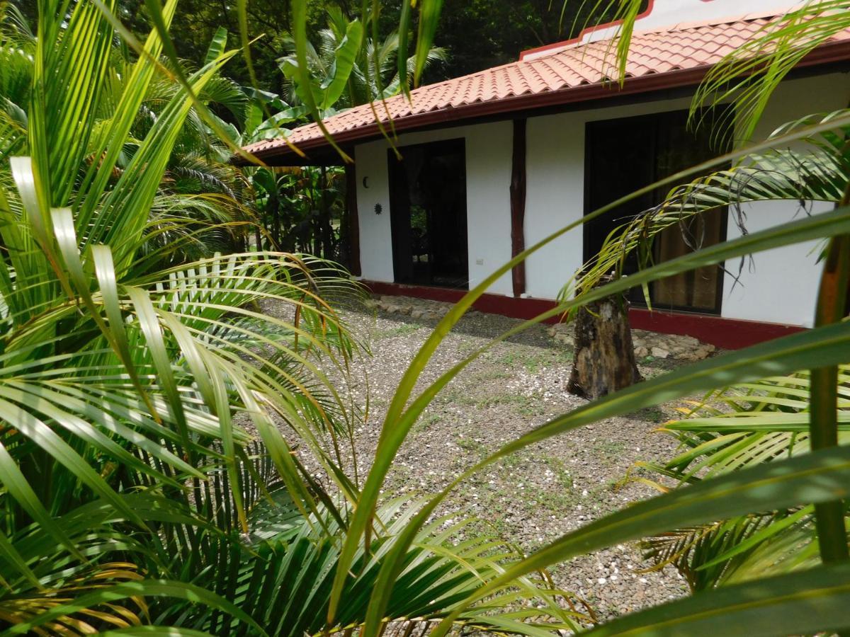 Villas Jungle 5 Samara Exterior photo