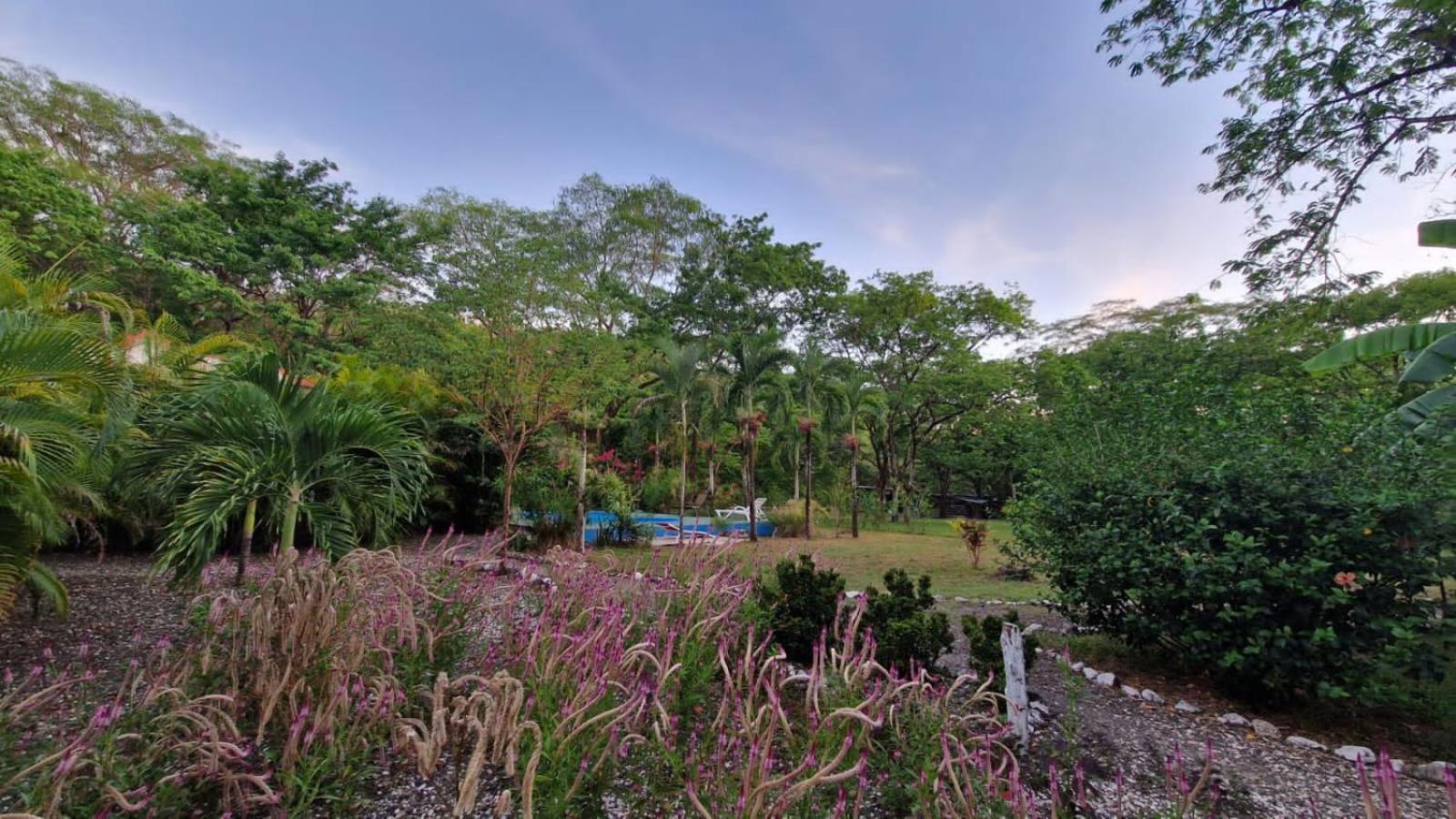 Villas Jungle 5 Samara Exterior photo