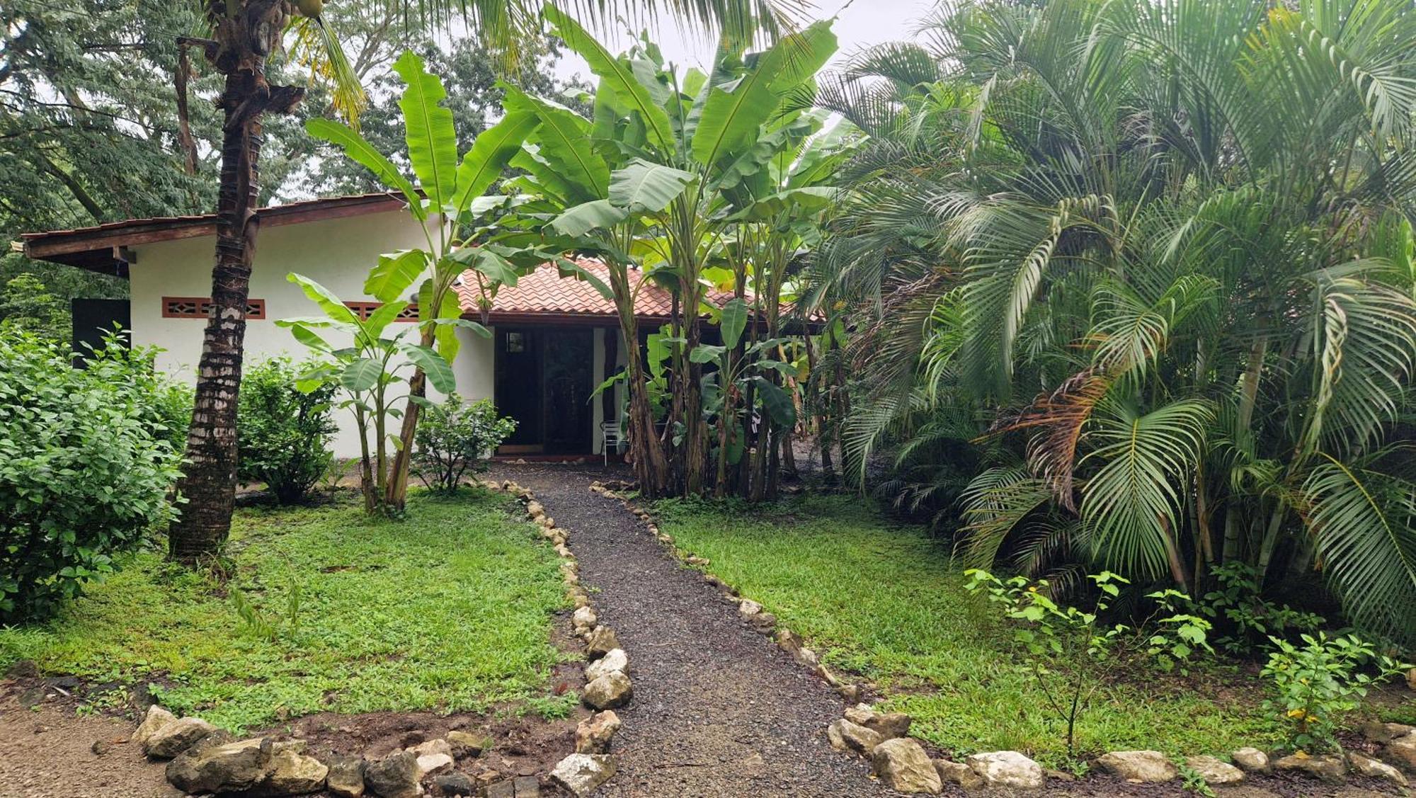 Villas Jungle 5 Samara Exterior photo