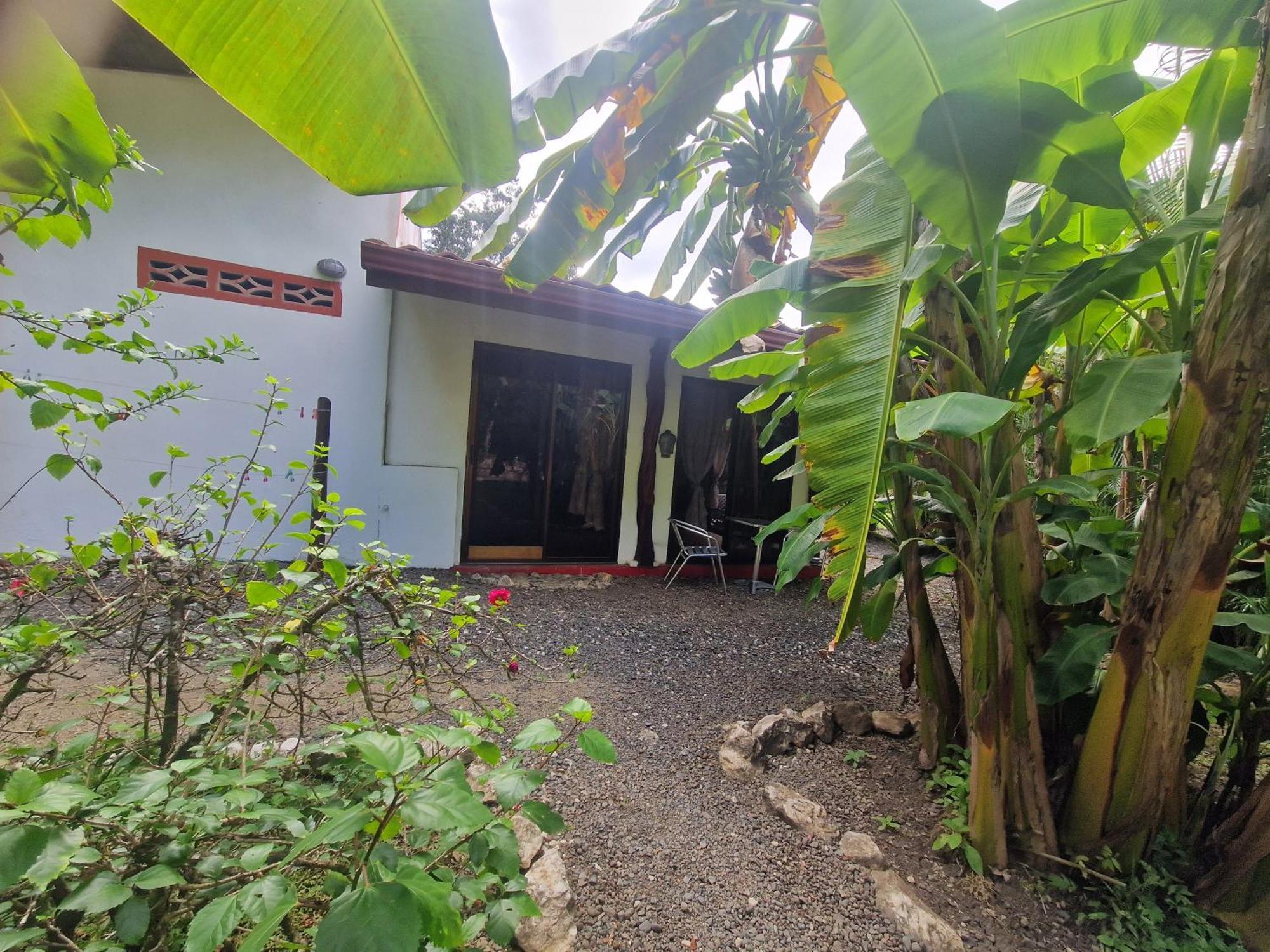 Villas Jungle 5 Samara Exterior photo
