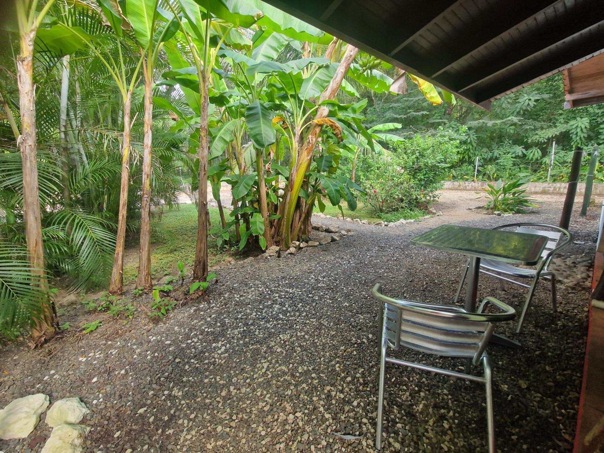 Villas Jungle 5 Samara Exterior photo